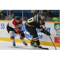 Cape Breton Screaming Eagles vs. the Drummondville Voltigeurs