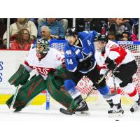 Idaho Steelheads Assistant Captain Brady Brassart