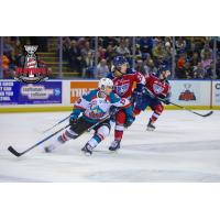 Kelowna Rockets Forward Dillon Dube vs. the Tri-City Americans