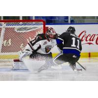 Vancouver Giants Goaltender David Tendeck vs. Victoria Royals' Matthew Phillips