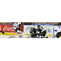 Manchester Monarchs vs. the Reading Royals