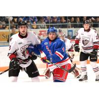 Kitchener Rangers vs. the Guelph Storm