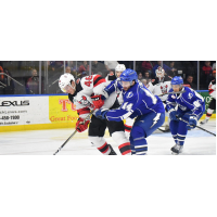 Binghamton Devils Right Win Michael Latta takes on the Syracuse Crunch