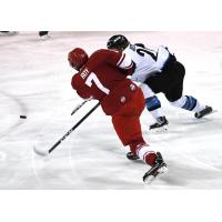 Eric Roy of the Allen Americans shoots vs. the Wichita Thunder