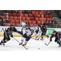 Kelowna Rockets vs. the Tri-City Americans Wednesday