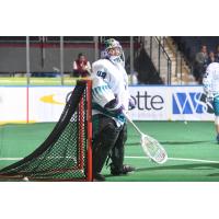 Rochester Knighthawks Goalie Matt Vinc