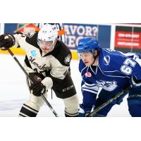 Mason Mitchell of the Hershey Bears