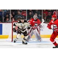 Mason Mitchell of the Hershey Bears vs. the Charlotte Checkers