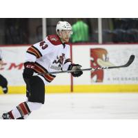 Dakota Mermis of the Tucson Roadrunners