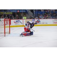 Hartford Wolf Pack Goaltender Chris Nell