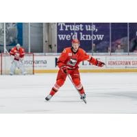 Philip Samuelsson of the Charlotte Checkers