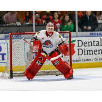 Rockford IceHogs Goaltender Collin Delia