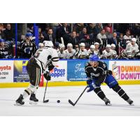 Daniel Walcott of the Syracuse Crunch eyes the puck