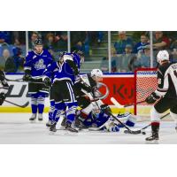 Vancouver Giants' Dawson Holt reaches for a puck near the Victoria Royals' goal