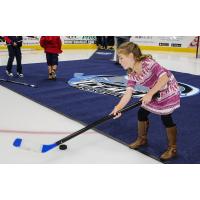 Fun at a Jacksonville IceMen game