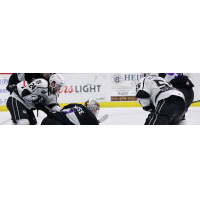 Manchester Monarchs vs. the Reading Royals