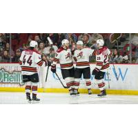 Tucson Roadrunners celebrate a goal