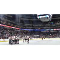Tucson Roadrunners celebrate postseason berth