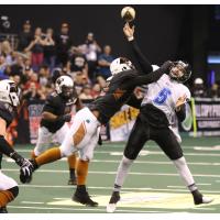 The Arizona Rattlers get to Cedar Rapids Titans Quarterback Jake Medlock