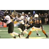Edward Mosley of the Arizona Rattlers vs. the Cedar Rapids Titans
