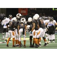 Arizona Rattlers huddle