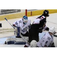 Tyler Popowich of the Vancouver Giants shoots vs. Victoria Royals Goaltender Griffen Outhouse