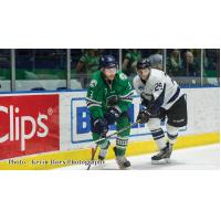 Florida Everblades Defenseman Matt Mackenzie