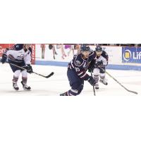 South Carolina Stingrays Forward Steven Whitney