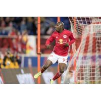 New York Red Bulls Forward Bradley Wright-Phillips