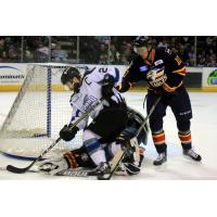 Idaho Steelheads Forward Jefferson Dahl crashes the net vs. the Colorado Eagles