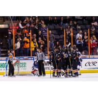 Kansas City Mavericks celebrate a goal vs. the Tulsa Oilers