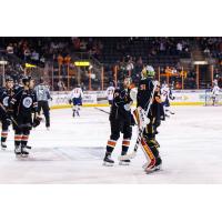 Kansas City Mavericks celebrate their win over the Tulsa Oilers