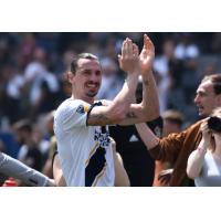 LA Galaxy forward Zlatan Ibrahimovic