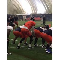 Albany Empire Quarterback Tommy Grady behind center