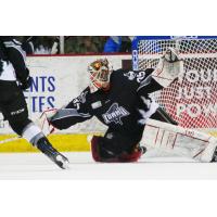 Idaho Steelheads Goaltender Tomas Sholl