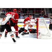 Lehigh Valley Phantoms Goaltender Dustin Tokarski fends off the Charlotte Checkers