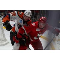 Lehigh Valley Phantoms Defenseman David Drake fights through the Charlotte Checkers