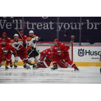 Lehigh Valley Phantoms vs. the Charlotte Checkers