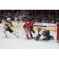 Lehigh Valley Phantoms Goaltender Dustin Tokarski stops a Charlotte Checkers' scoring attempt