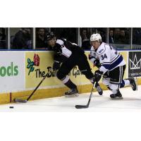 Vancouver Giants Center Tyler Popowich races for a puck along the boards vs. the Victoria Royals
