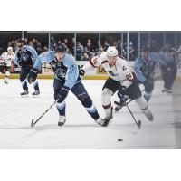 Milwaukee Admirals Defenseman Jack Dougherty and Cleveland Monsters Right Wing Phil Lane race for the puck