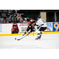 Forward Louick Marcotte with the Fort Wayne Komets
