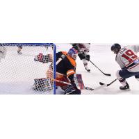 Kelly Zajac and the South Carolina Stingrays converge on the Greenville Swamp Rabbits' net
