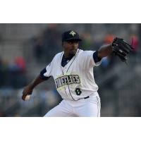Columbia Fireflies Pitcher Tony Dibrell