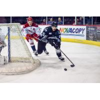David Makowski of the Allen Americans chases an Idaho Steelheads player behind the Allen net