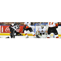 Manchester Monarchs vs. the Adirondack Thunder