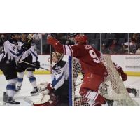 The Allen Americans celebrate Mathieu Foget's overtime winner