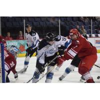 Max French of the Idaho Steelheads vs. the Allen Americans
