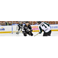 Alexx Privitera of the Manchester Monarchs vs. the Worcester Railers