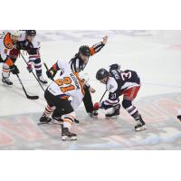 Lehigh Valley Phantoms Forward Mike Vecchione faces off against the Hartford Wolf Pack